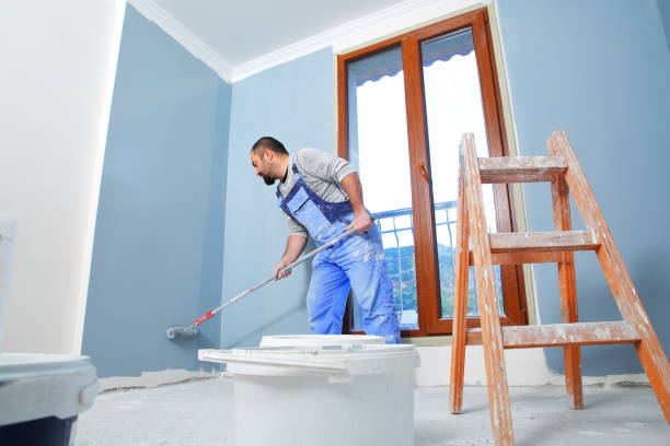 Mold Documentation for Insurance Claims in Groveland, ID