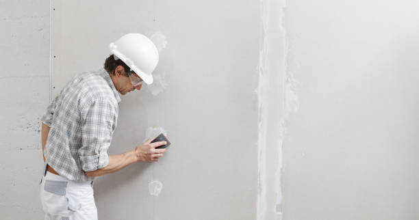 Asbestos and Lead Testing During Mold Inspection in Groveland, ID