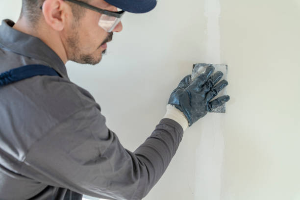 Reliable Groveland, ID Mold Removal Solutions