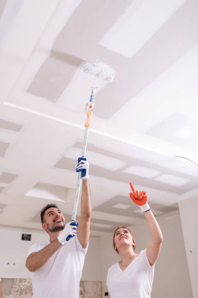 Best Comprehensive Air Testing for Mold Contaminants  in Groveland, ID