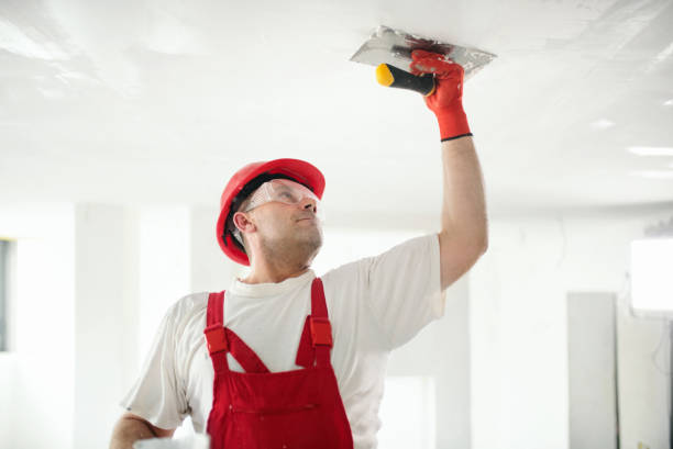 Mold Odor Removal Services in Groveland, ID