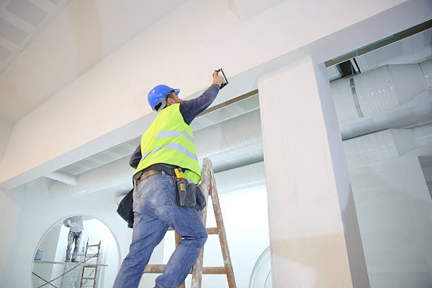 Best Environmental Consulting for Mold Prevention  in Groveland, ID
