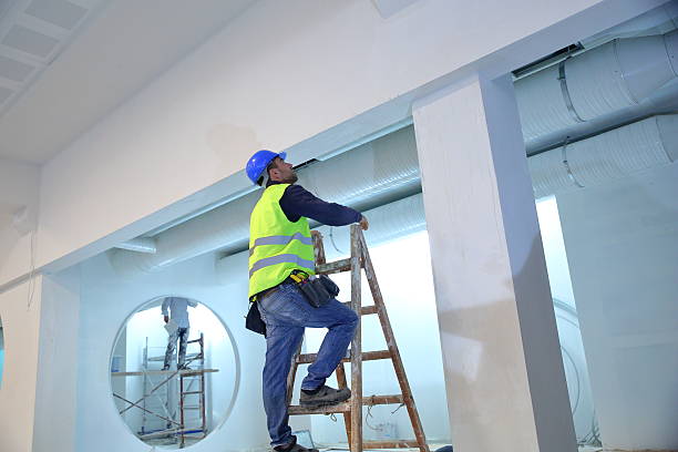 Best Mold Damage Restoration  in Groveland, ID