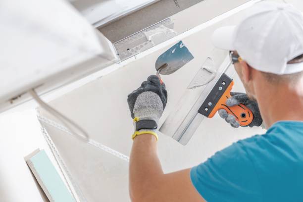  Groveland, ID Mold Removal Pros